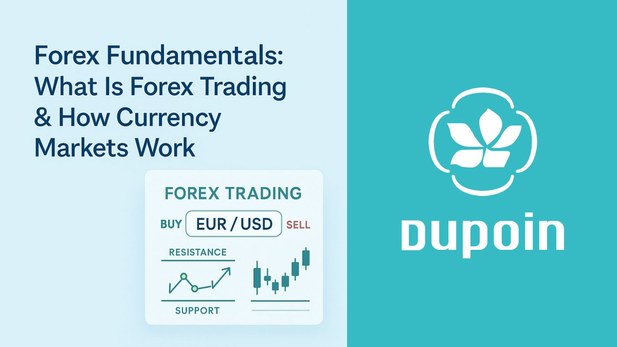 Forex trading explained in simple beginner terms