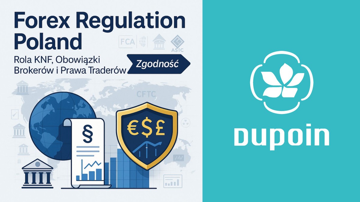 Jak KNF Czuwa nad Rynkiem Forex w Polsce? Poradnik dla Brokerów i Traderów