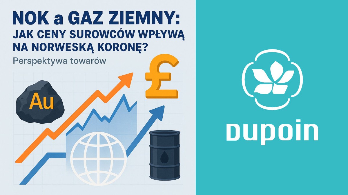 Norweska Korona na Huśtawce: Jak Gaz i Ropa Rządzą NOK?