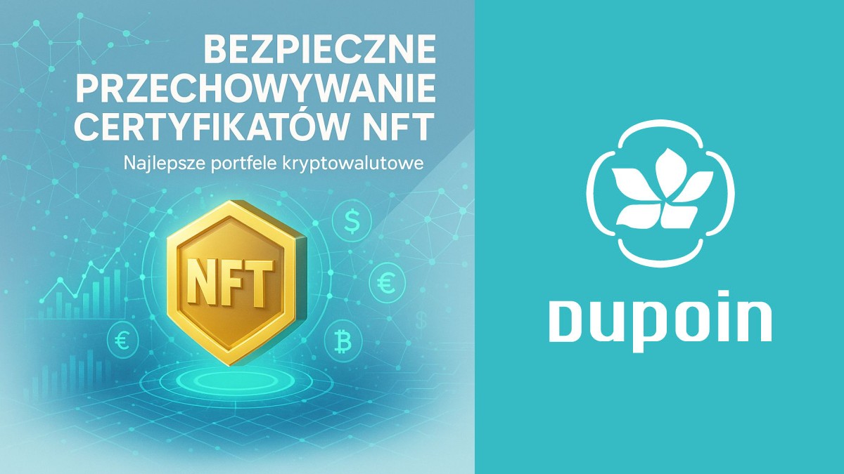 Twój Niezbędnik: Jak Wybrać i Bezpiecznie Używać Portfela do Przechowywania NFT