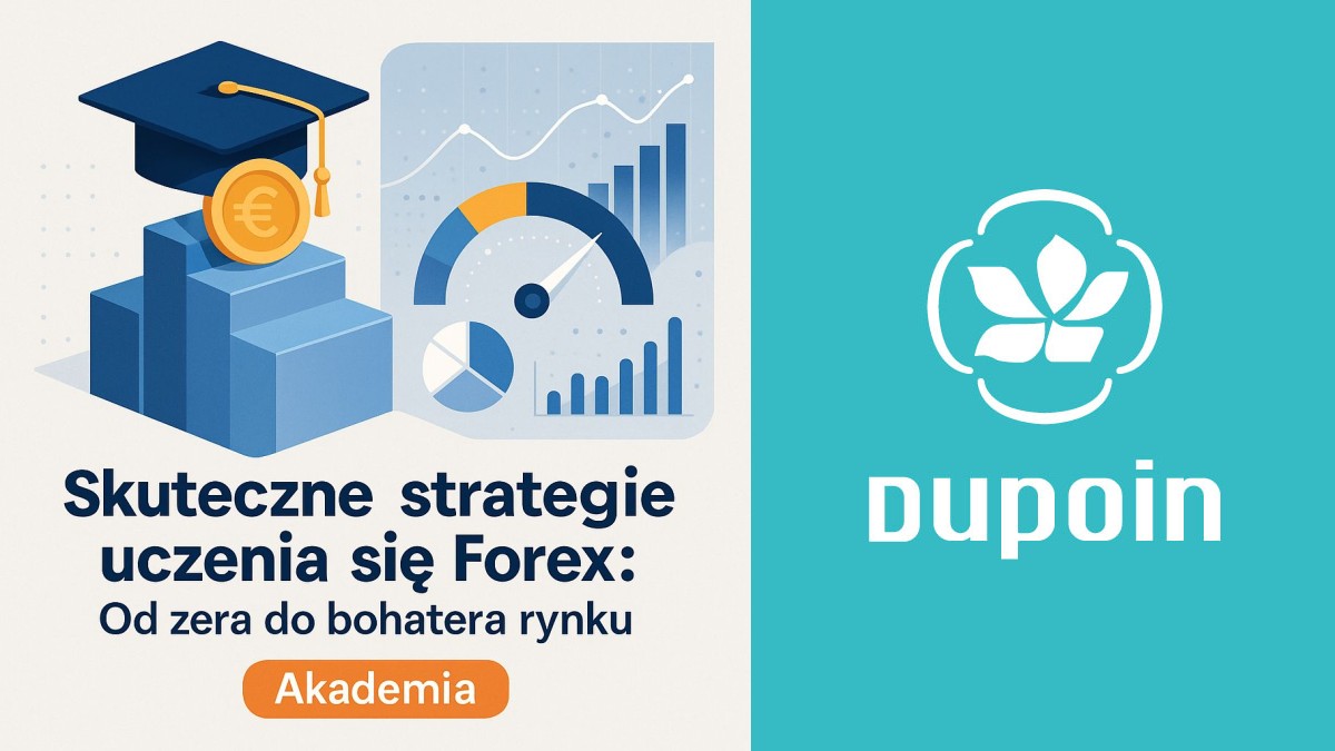 Od Padawana do Mistrza Forex: Twój Plan Nauki, Który Działa