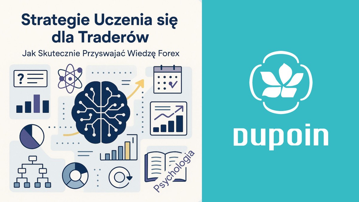 Mistrzostwo na Rynku: Opracuj Swoje Własne Strategie Uczenia się w Forex
